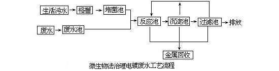 圖片8