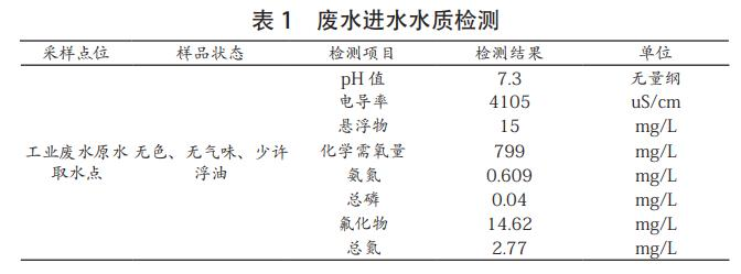 圖片32