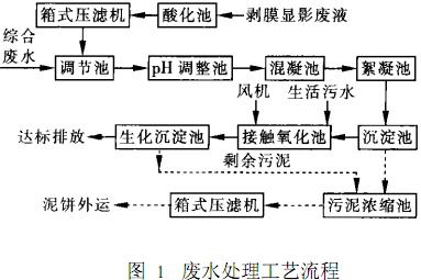 圖片12