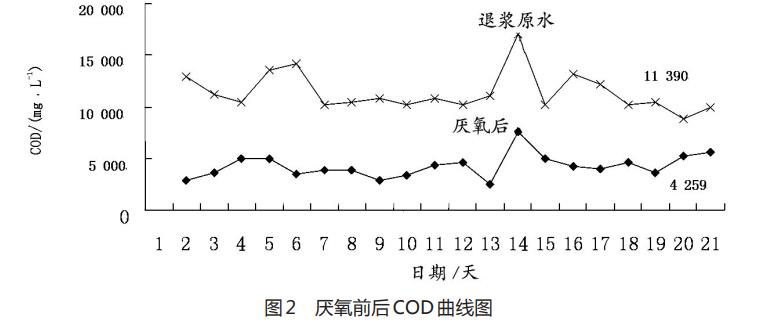 圖片61