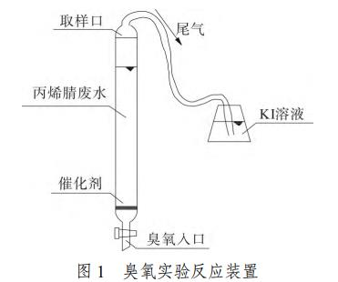 圖片13