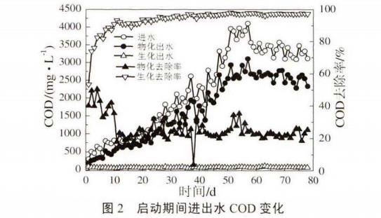 圖片9