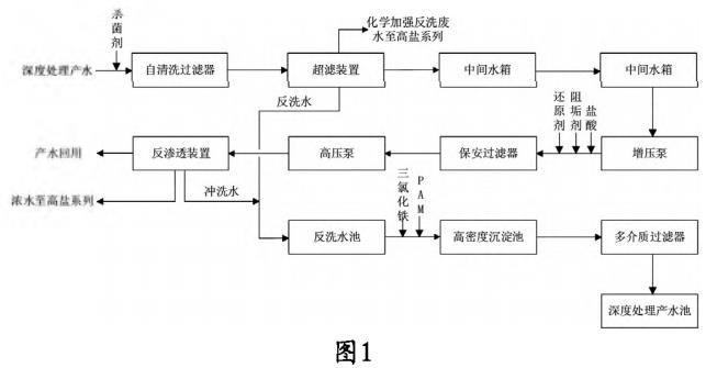 圖片36