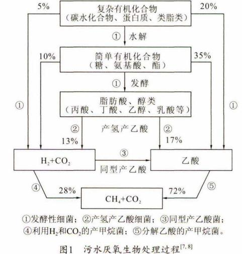 圖片8