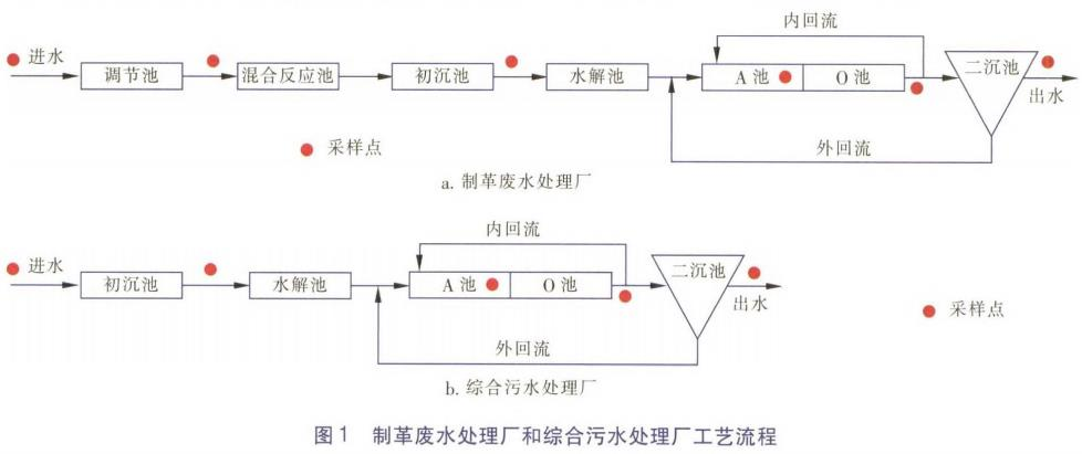 圖片5