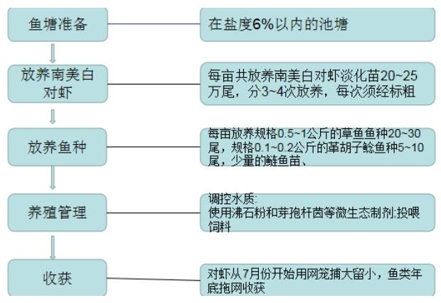 圖片13