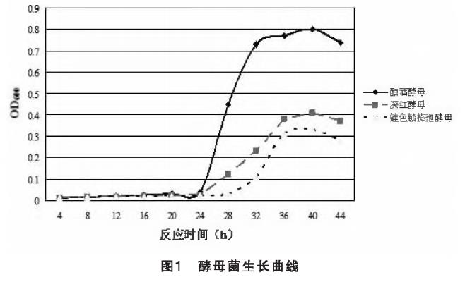 圖片16