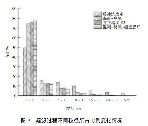 圖片13