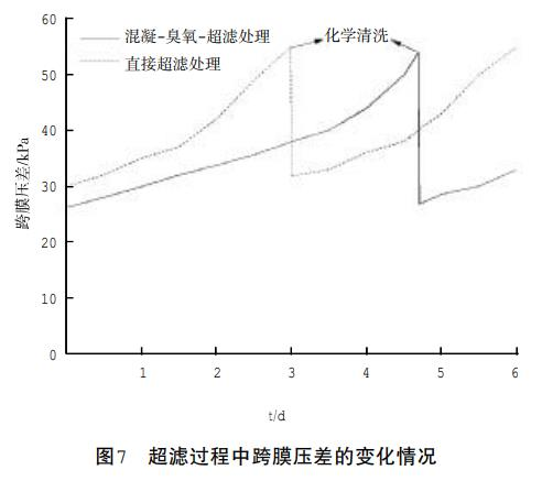 圖片18