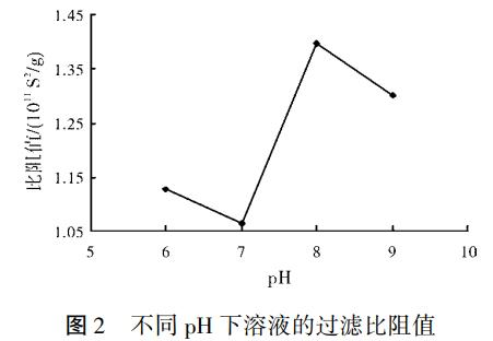 圖片3