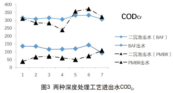 圖片13