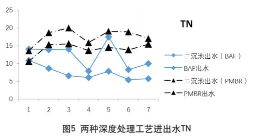 圖片15