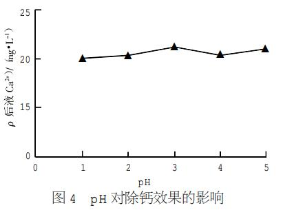 圖片35