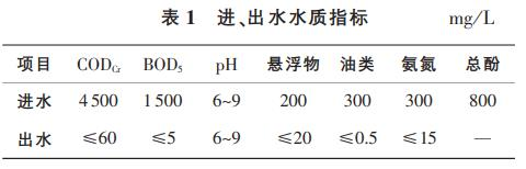 圖片11