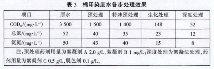 圖片17