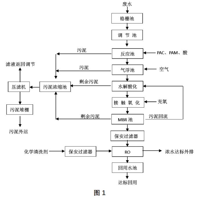 圖片8